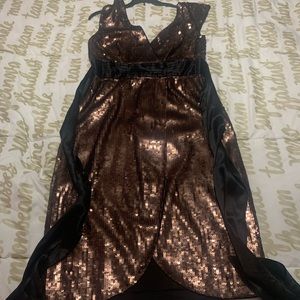 BCBG Sequin Dress